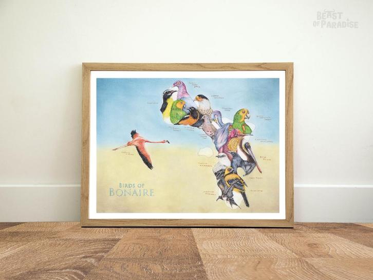 Poster: Vogels van Bonaire, Verzamelen, Posters, Nieuw, Dier of Natuur, A1 t/m A3, Rechthoekig Liggend, Verzenden