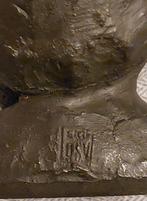 Jongens kopje, Ophalen of Verzenden