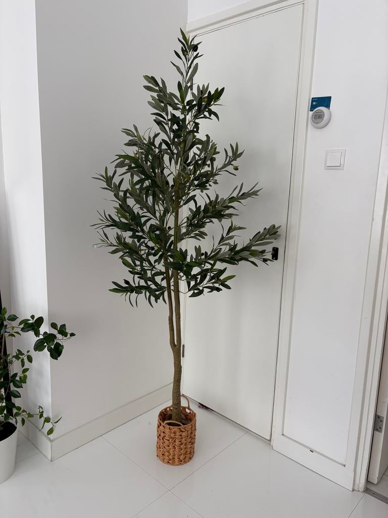 Nieuw kunst olijf boom 1.80m, Binnen, Groen, Kunstplant, Nieuw