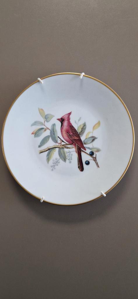 Lorentz Hutschenreuther porselein bord - Kardinaal, Antiek en Kunst, Antiek | Porselein, Ophalen