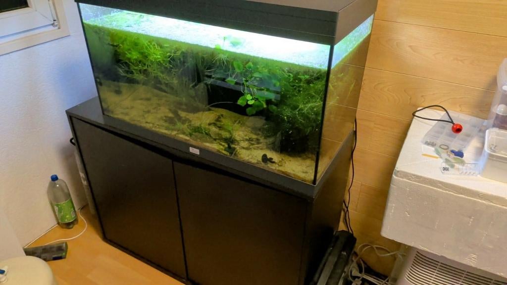 Aquatlantis 80 cm met onderkast 1 meter en filter, Dieren en Toebehoren, Vissen | Aquaria en Toebehoren, Ophalen, Leeg aquarium