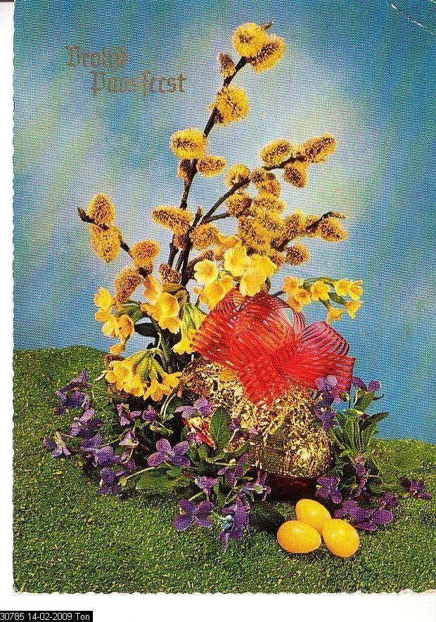 Ansichtkaart	Wilgenkatjes	Paaskaart, Verzenden, 1960 tot 1980, Gelopen, Natuur