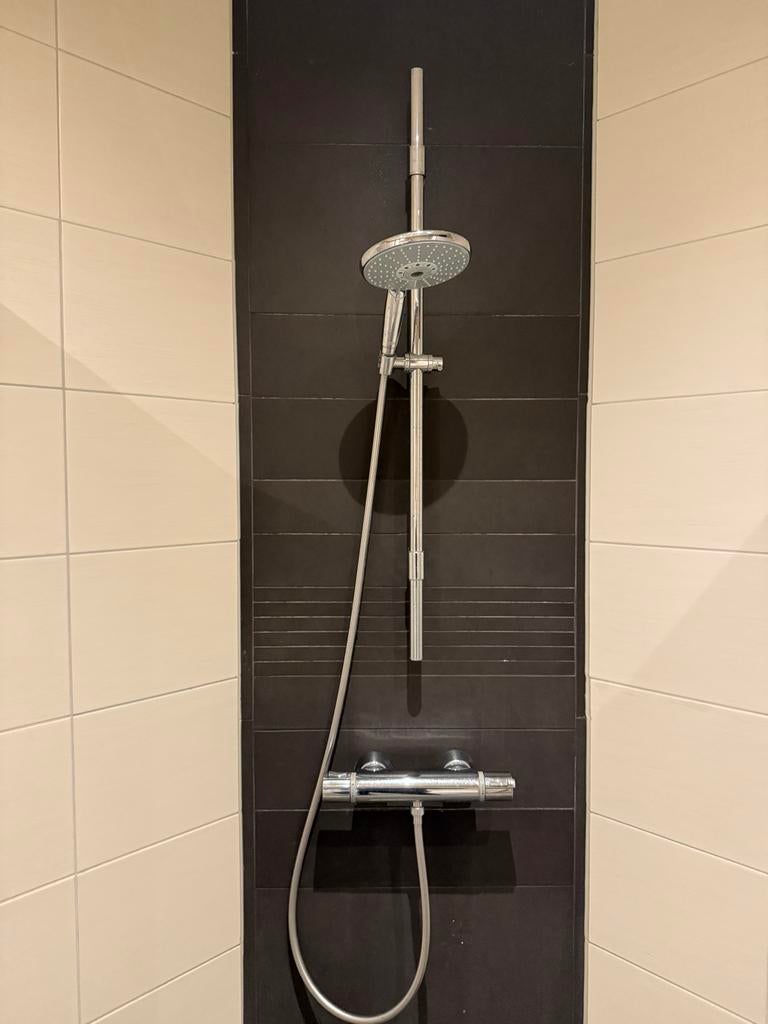 Grohe douche mengkraan, Ophalen, Gebruikt, Chroom, Douche