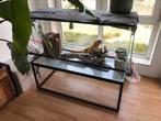 Glazen glas terrarium teab reptielen baardagamen, Dieren en Toebehoren, Reptielen en Amfibieën | Toebehoren, Ophalen, Gebruikt