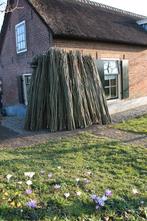 Bonenstaken, Ophalen, Nieuw