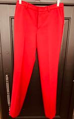 Nieuwe rode pantalon, Bellamy, maat S, Ophalen, Maat 36 (S), Lang, Rood