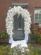 Bloemenboog - Perfect voor bruiloft of feest!, 200 cm of meer, Overige soorten, In pot, Bloeiende kamerplant