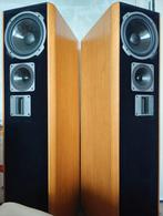 quadral Montan V Real Transmission Line met bandtweeters, Audio, Tv en Foto, Luidsprekers, Gebruikt, 120 watt of meer, Front, Rear of Stereo speakers