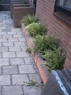 Borderrand gratis, Ophalen, Gebruikt, Beton, Overige typen