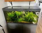 Eheim Vivaline led 180 goede staat en heel compleet + 350T, Ophalen, Zo goed als nieuw, Leeg aquarium