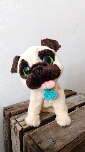Blaffende hondje pup  beschikbaar voor biedingen