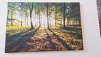 Doorbrekende zon in de bossen - 60x40 cm canvas schilderij, Ophalen of Verzenden