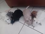 Ikea ratten / muizen, Kinderen en Baby's, Speelgoed | Knuffels en Pluche, Ophalen of Verzenden, Overige typen