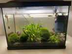 Aquarium compleet 45 liter, Dieren en Toebehoren, Ophalen, Zo goed als nieuw, Leeg aquarium