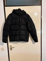 Polo Ralph Lauren Gorham Winterjas Zwart Maat XS Orgineel, Kleding | Heren, Jassen | Winter, Zwart, Ralph Lauren, Ophalen of Verzenden