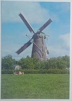 Wouw ( Roosendaal) ( N.Br. ) Molen De Arend, Verzamelen, Verzenden, 1980 tot heden, Ongelopen, Noord-Brabant
