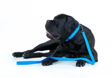 WAUDOG Waterproof Hondenlijn Blauw 25 mm x 122 cm -40% OFF! beschikbaar voor biedingen