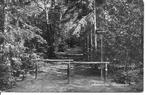 Appelscha Bospaadje., Verzamelen, Ophalen of Verzenden, 1960 tot 1980, Ongelopen, Friesland