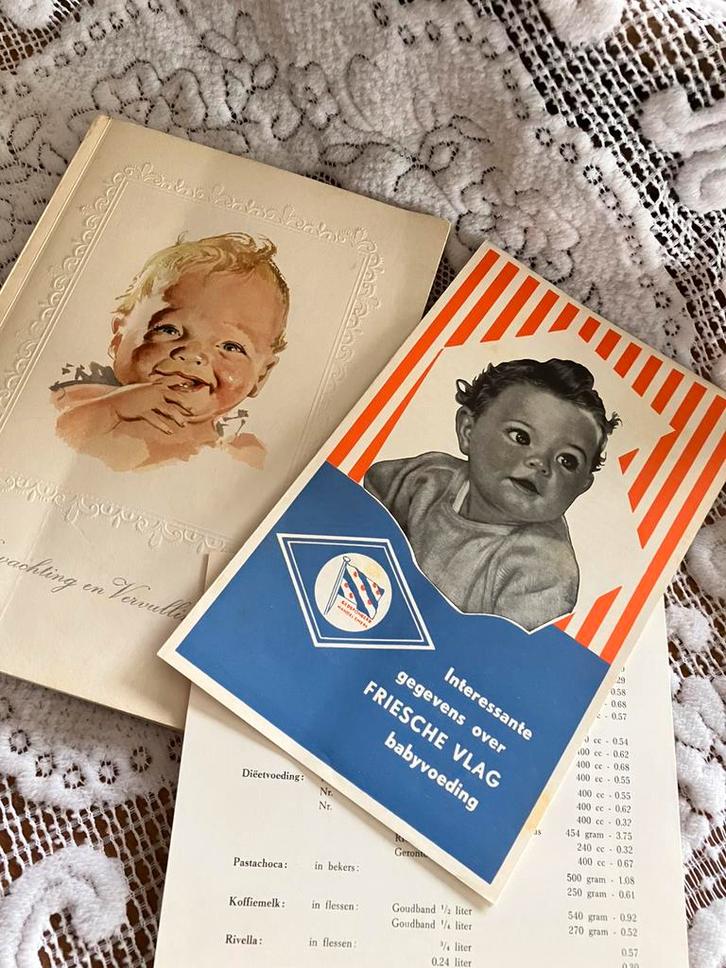 Verwachting en Vervulling boekje van de Friese vlag 1960, Antiek en Kunst, Curiosa en Brocante, Ophalen of Verzenden