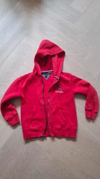 Tommy Hilfiger maat 116, Ophalen of Verzenden, Gebruikt, Jongen, Trui of Vest