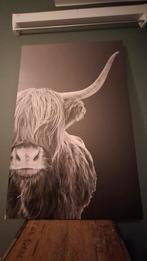 Schotse Hooglander Print 75x115 cm, Huis en Inrichting, Ophalen, 75 tot 100 cm, 75 cm of meer, Print