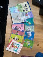 Boeken verzorgende ig, Boeken, Schoolboeken, Ophalen of Verzenden, Zo goed als nieuw, Overige niveaus