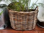 Rotan mand L86XB59XH56cm, Huis en Inrichting, Woonaccessoires | Schalen en Manden, Ophalen, Overige materialen, Mand, Zo goed als nieuw