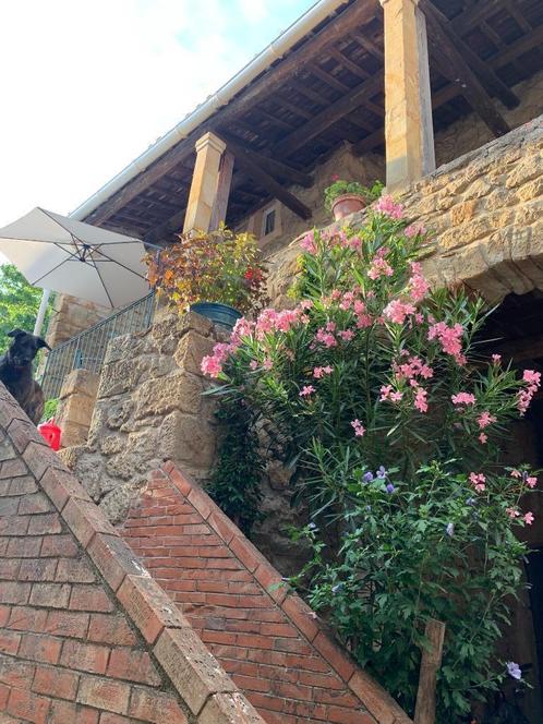 Fijn zomerhuis in de ‘Haut Languedoc’ te koop of te huur, Huizen en Kamers, Buitenland, Frankrijk, Woonhuis, Landelijk, Verkoop zonder makelaar