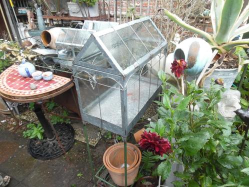 Kweekkas kas kasje Antiek Venetiaans model 'De Evenaar", Tuin en Terras, Kweekspullen, Kweektent, Ophalen