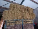 Uitmuntende kwaliteit hooibalen, Dieren en Toebehoren, Dierenvoeding, Ophalen, Vee