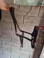 Bitloos hoofdstel, Sidepull Edix bruin cob, Dieren en Toebehoren, Ophalen of Verzenden, Zo goed als nieuw, Overige soorten