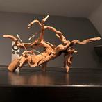 Uniek stuk Spiderwood / Driftwood / Kienhout, Hout Decoratie, Ophalen of Verzenden, Zo goed als nieuw, Plant(en), Steen of Hout