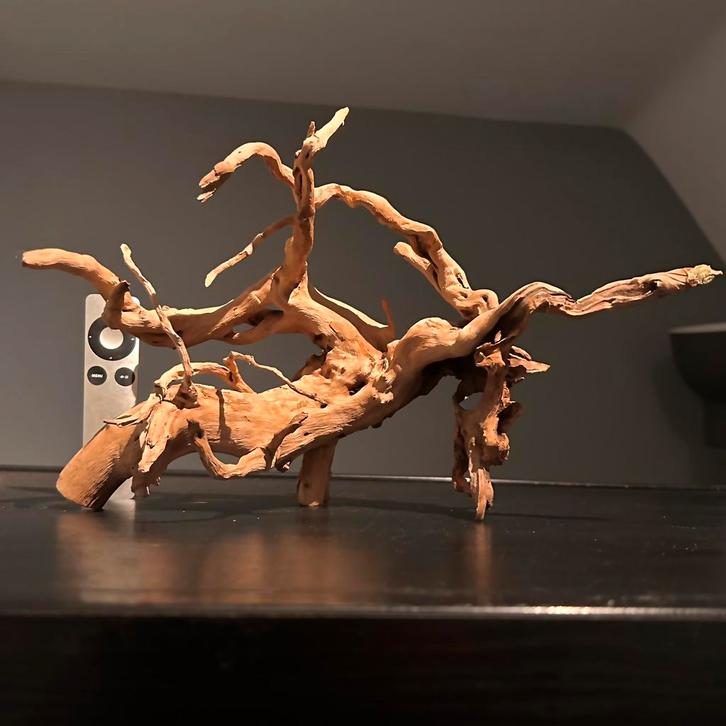 Uniek stuk Spiderwood / Driftwood / Kienhout, Hout Decoratie, Dieren en Toebehoren, Vissen | Aquaria en Toebehoren, Zo goed als nieuw