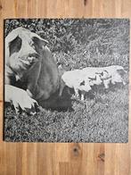 Pink Floyd  -- The Best of Tour '72 (Lp), Cd's en Dvd's, Ophalen of Verzenden, Gebruikt, 12 inch, Progressive