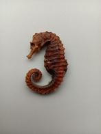 Gedroogd Zeepaardje, Ophalen of Verzenden, Gebruikt, Overige soorten, Opgezet dier