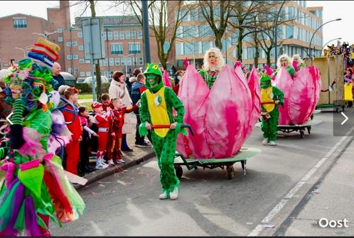 Carnaval grote loopgroep Efteling (38 pers.), Kleding | Dames, Carnavalskleding en Feestkleding, Gedragen, Kleding, Carnaval, Maat 38/40 (M)