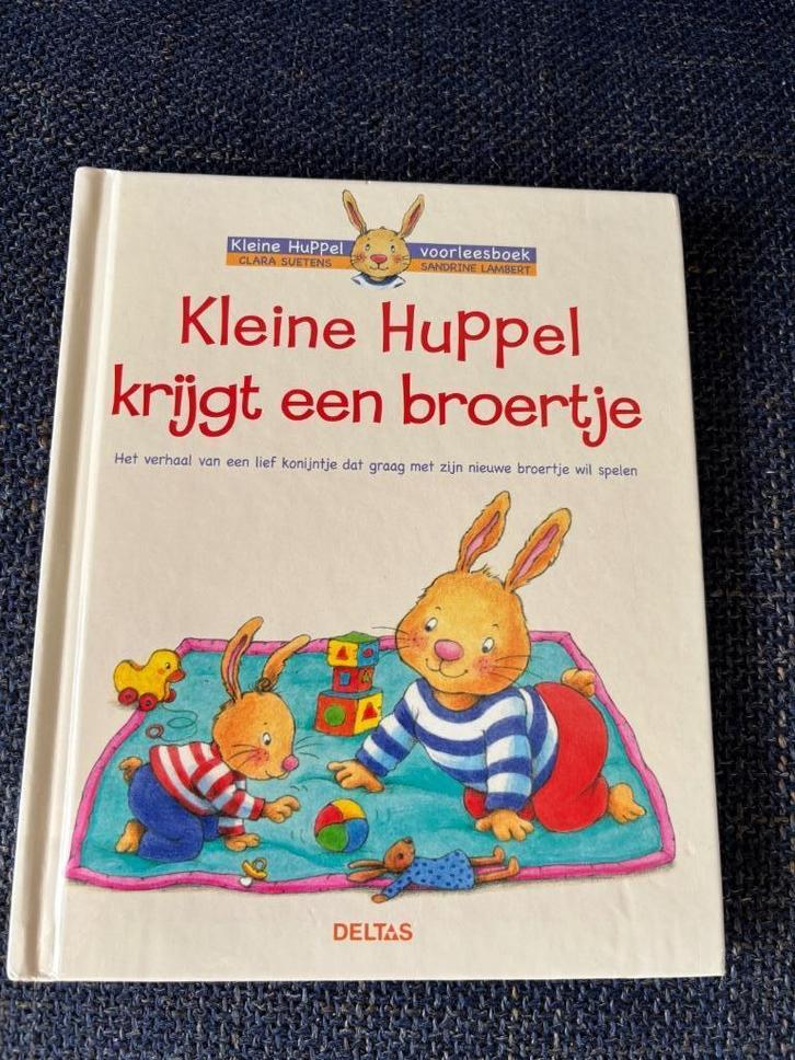 Kleine Huppel krijgt een broertje., Boeken, Kinderboeken | Baby's en Peuters, Gelezen, 3 tot 4 jaar, Ophalen