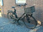 Cortina Common  transport herenfiets  framehoogte 56cm, Versnellingen, Zo goed als nieuw, 57 tot 61 cm, Ophalen