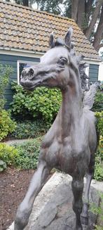 Bronzen paard Arabier levensgroot, Ophalen