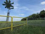 weiland te huur aangeboden voor paarden/pony's 24/7, Dieren en Toebehoren, Stalling en Weidegang, Weidegang, 2 of 3 paarden of pony's