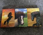 3 Christine Linneweever paardenboeken, Ophalen of Verzenden, Gebruikt, Boek of Catalogus