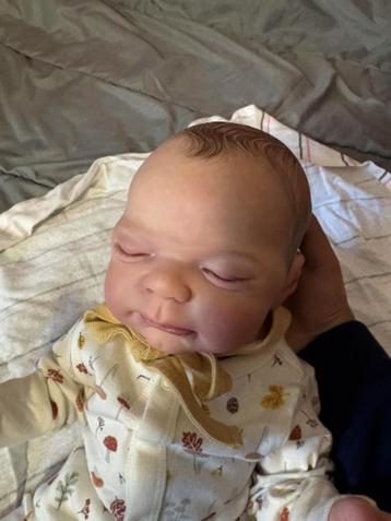 reborn knox beschikbaar voor biedingen