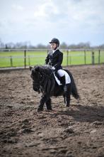 Verzorgers gezocht, Dieren en Toebehoren, Ophalen, Nieuw