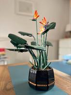 Bird of paradise Lego 10289 botanical collection, Ophalen, Zo goed als nieuw