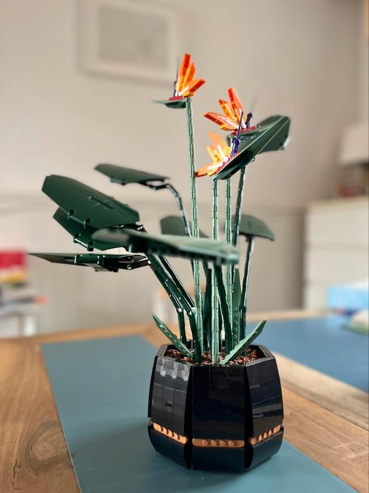 Bird of paradise Lego 10289 botanical collection, Kinderen en Baby's, Speelgoed | Duplo en Lego, Zo goed als nieuw, Ophalen