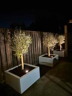 Stalen bloembakken als eyecatcher, Tuin en Terras, Vierkant, Nieuw, Metaal, 60 tot 100 cm