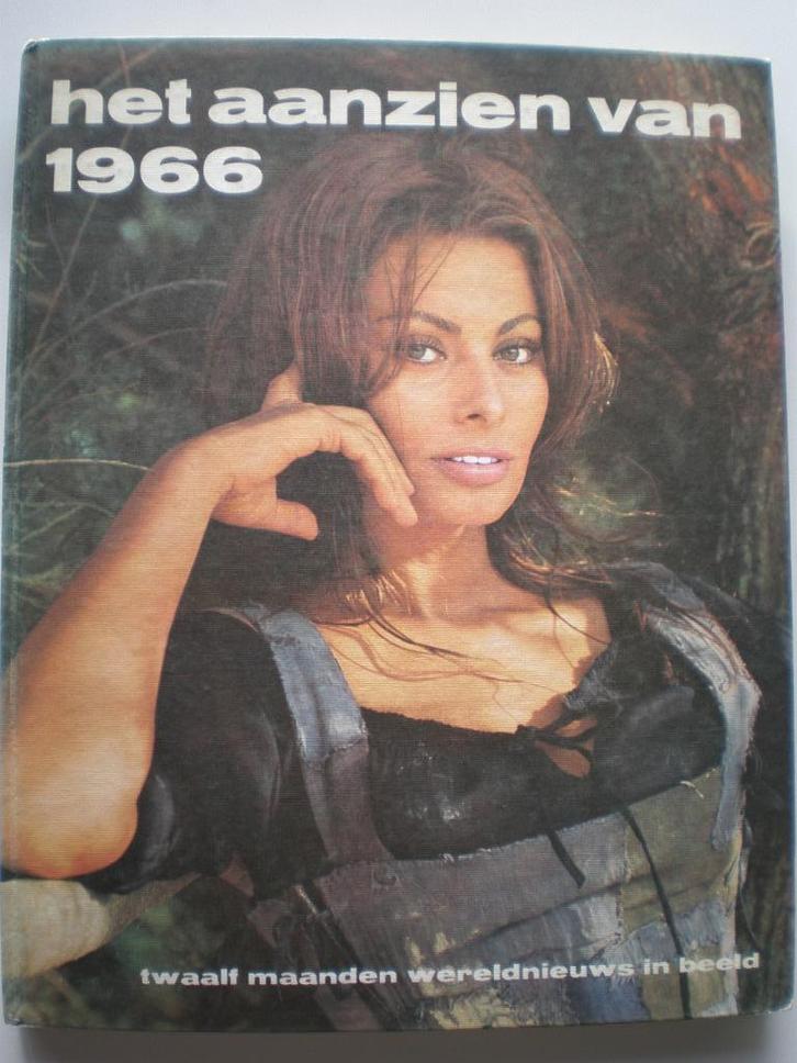 Het aanzien van 1966, Boeken, Geschiedenis | Wereld, Zo goed als nieuw, Overige gebieden, 20e eeuw of later, Ophalen of Verzenden