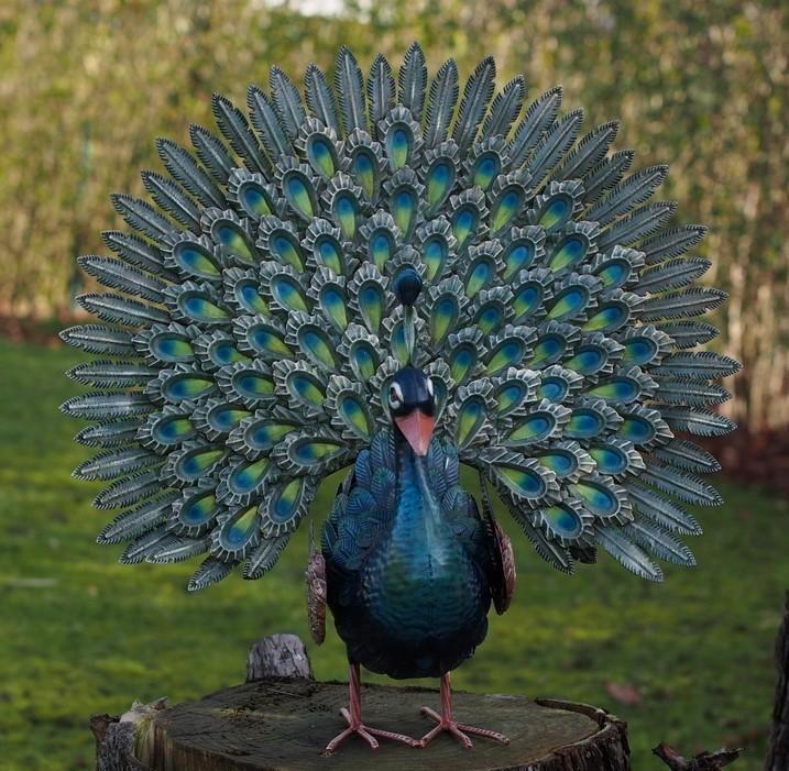 PAUW MET OPEN STAART / metaal, Tuin en Terras, Tuinbeelden, Nieuw, Dierenbeeld, Metaal, Ophalen of Verzenden