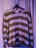 Lascote trui groen/grijs gestreept, Verzenden, Zo goed als nieuw, Groen, Lacoste