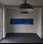 (Zee)Aquarium Groot (250x70x70)Compleet!, Dieren en Toebehoren, Vissen | Aquaria en Toebehoren, Ophalen, Gebruikt, Gevuld zeewateraquarium